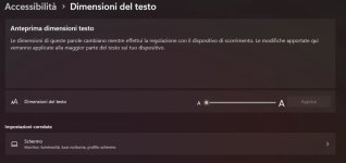 Dimensioni del Testo Windows 11.jpg