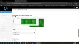 Playit Live Daypart Grid Web version.jpg