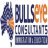 bullseyeconsultants